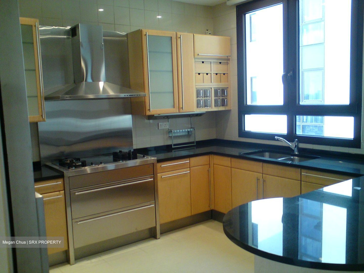 Ardmore Park (D10), Condominium #593705811